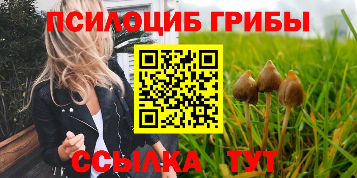 Псилоцибиновые грибы ЛСД  Галлюциногенные грибы мицелий  Вход с VPN  Урюпинск 